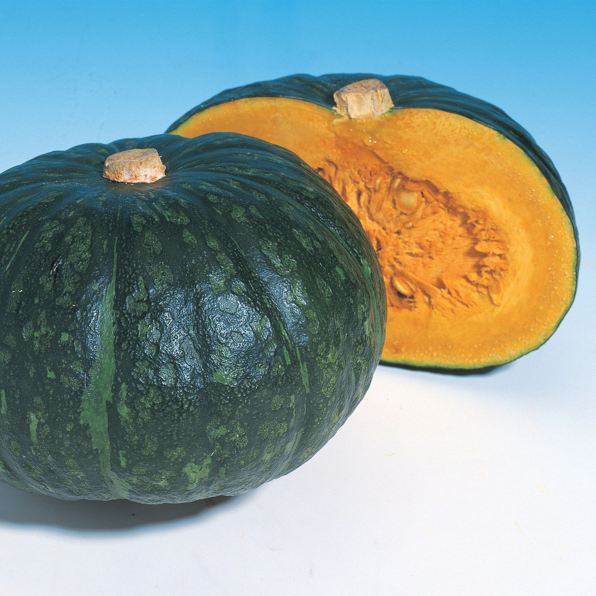 Squash Seeds - Japanese, Winter - Hokkori - Hybrid -1 Lb ~2496 Seeds - Non-GMO, F1 Hybrid - Asian Garden Vegetable